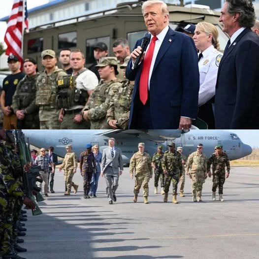 Let The Killing Stop