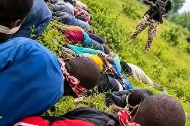 They are over 30 death body of Hausa people killed by fulani bandit